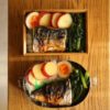 塩鯖とベトナム味の小松菜炒め弁当、旅行中の水やり方法